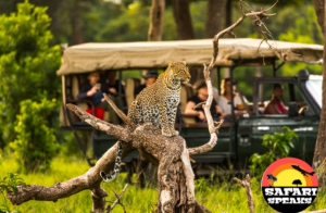 best time to visit kenya safari