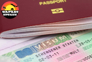 How Much Will Schengen Visa Application Cost Me In Nigeria?