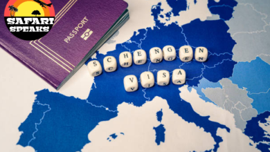 How Much Will Schengen Visa Application Cost Me In Nigeria?